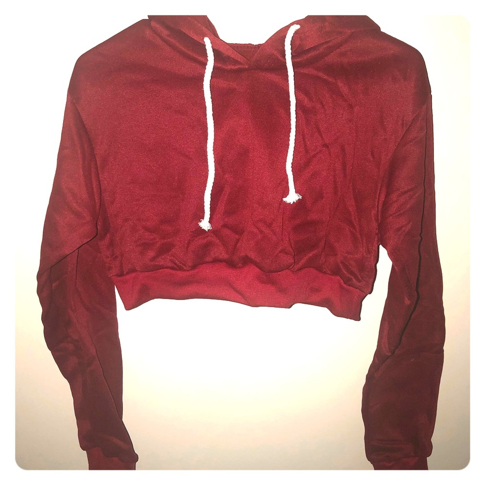 NWOT Maroon Cropped Hoodie